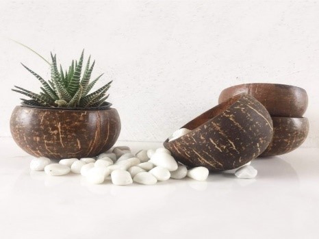 Coconut Shell Planter Price Big Bear Crafts