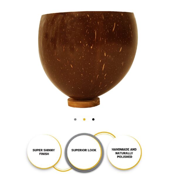 Order Coconut Shell Beer Mug